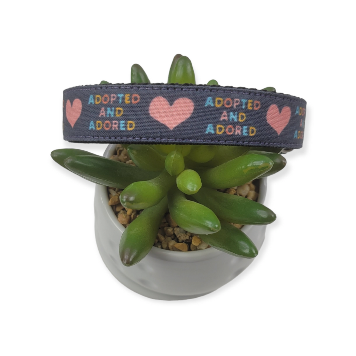 Adopted & Adored dog collar (Medium)