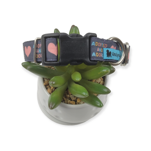 Adopted & Adored dog collar (Medium)