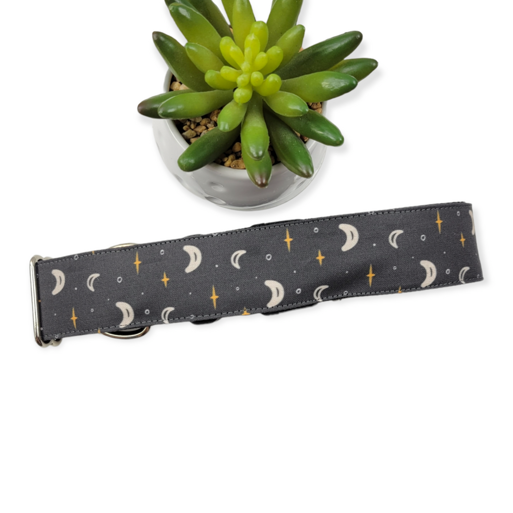 Night Sky Dog Collar (X-Large, 1.5" wide)