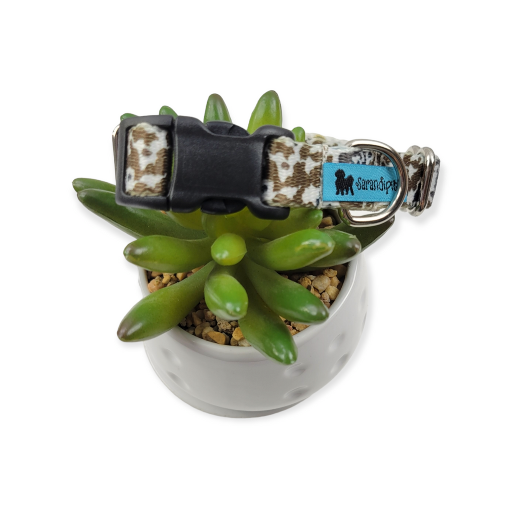 How Now Brown Cow? Dog Collar (Small)