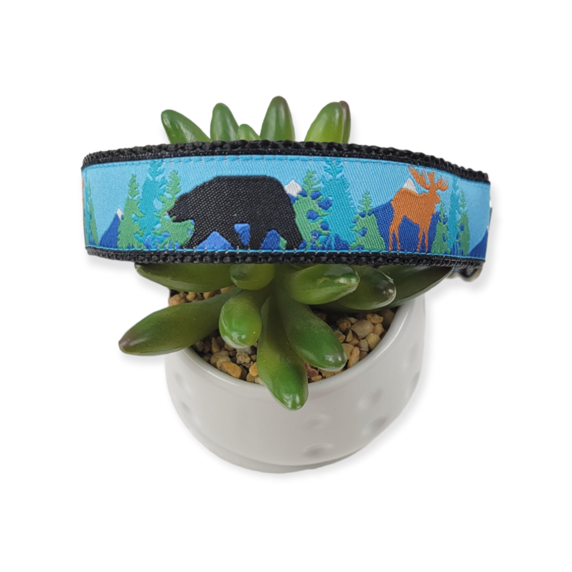 Outdoorsy Dog Collar (Large)