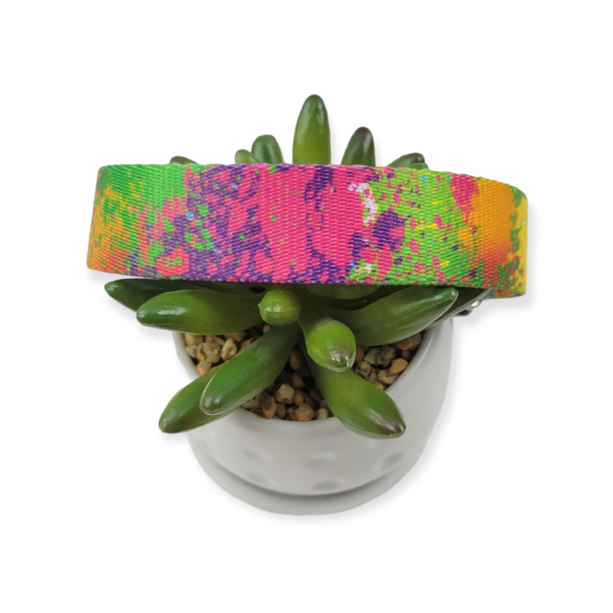 Paint Splatter Dog Collar (Large)