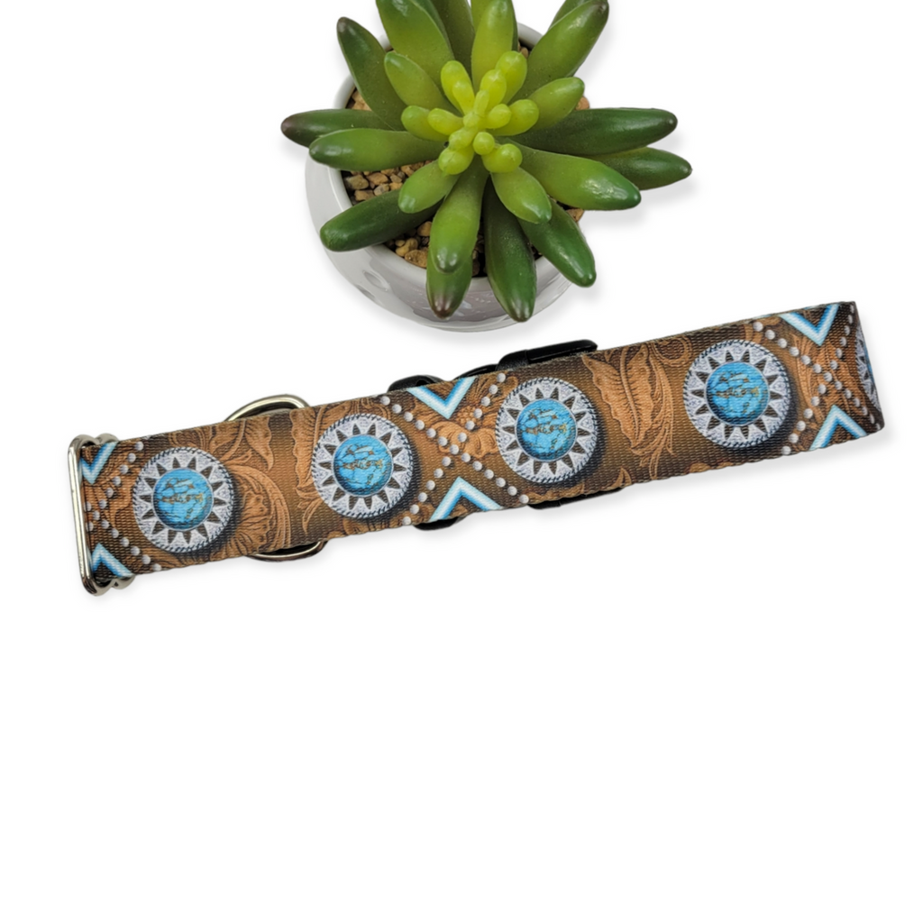 Saddle Up Dog Collar (XXX-Large, 1.5" wide)