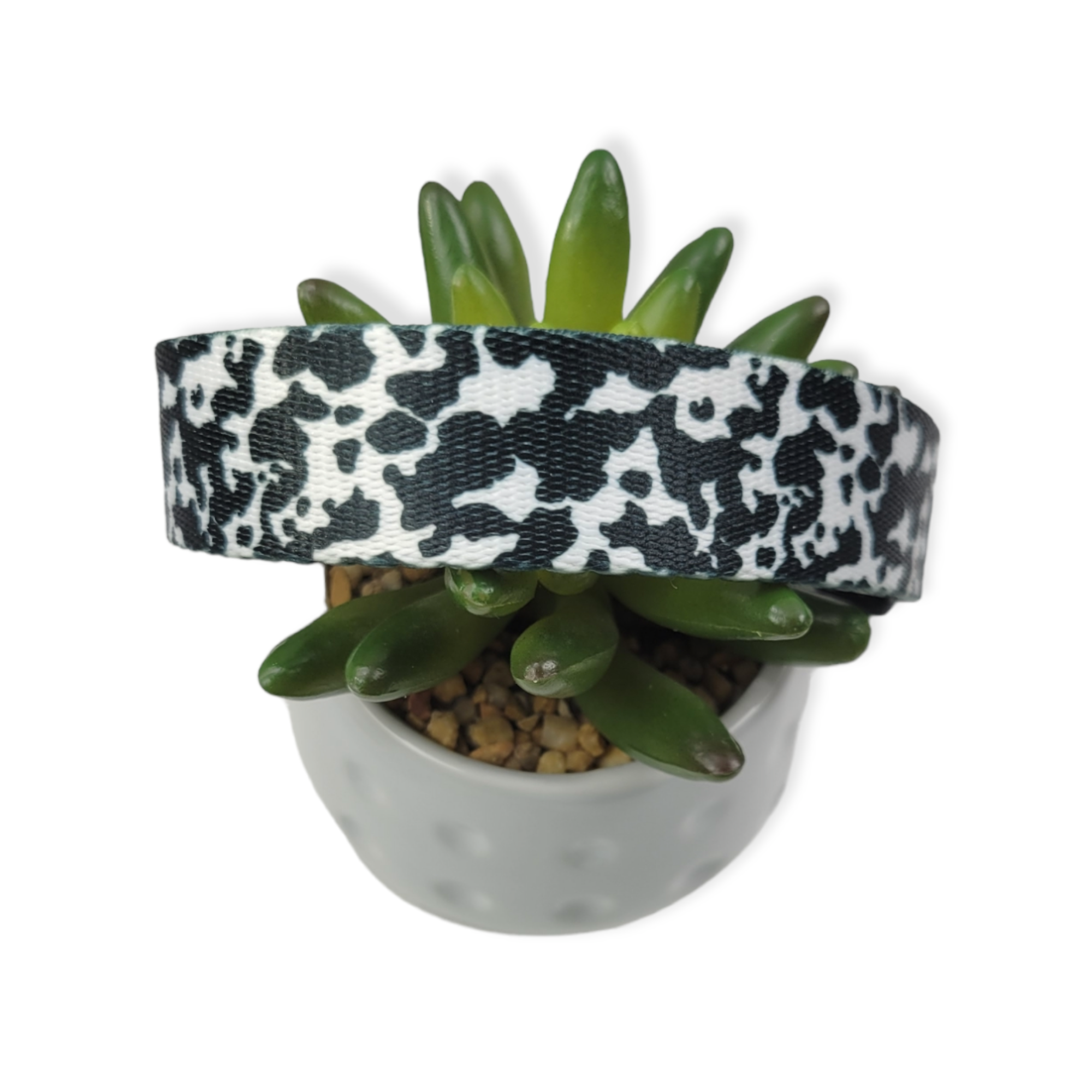 Cow Print Dog Collar (Large)