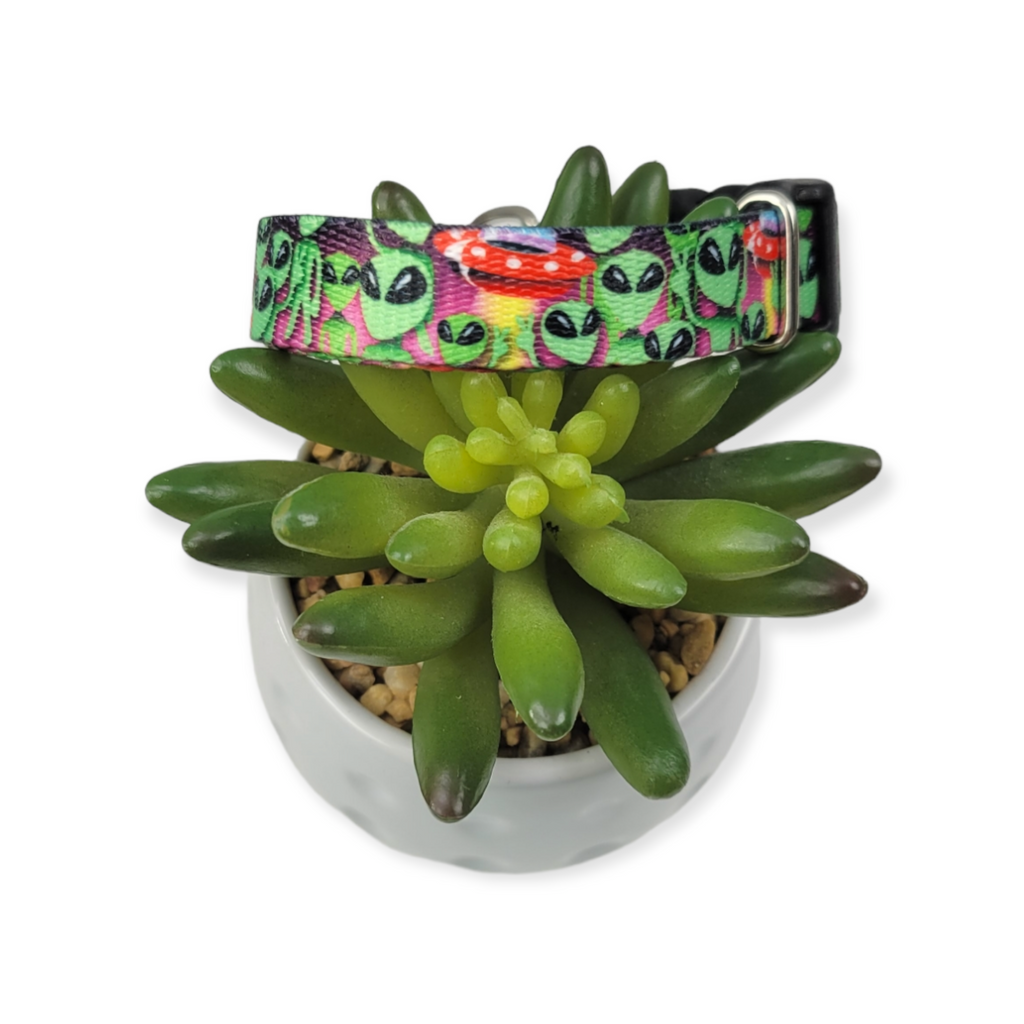 Space Aliens Dog Collar (Small)