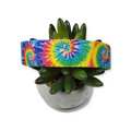 Tie Dye Reflective Dog Collar (Large)