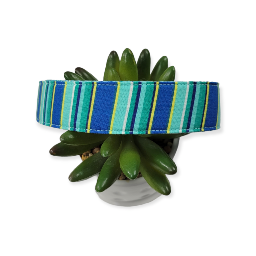 Aqua Stripes Dog collar (Large)