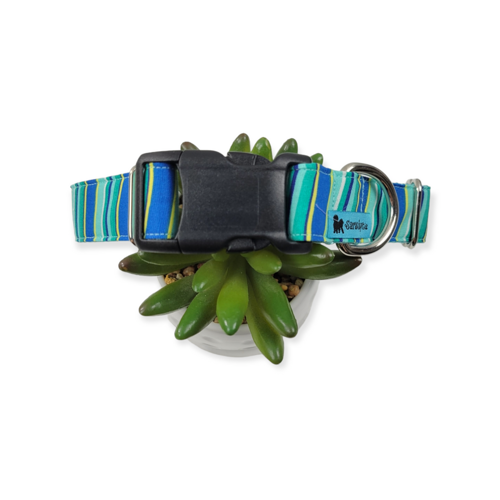 Aqua Stripes Dog collar (Large)