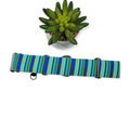 Green & Blue Stripes Martingale Dog Collar (Large, 1.5" wide)