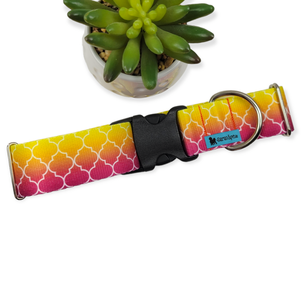 Fabulous Ombre Dog Collar (X-Large, 1.5" wide)