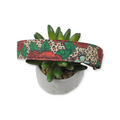 Roses On Cheetah Martingale Dog Collar (Large)