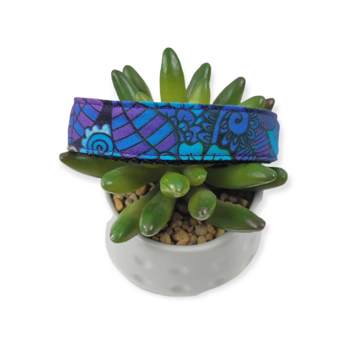 Psychedelic Paisley Dog Collar (Medium)