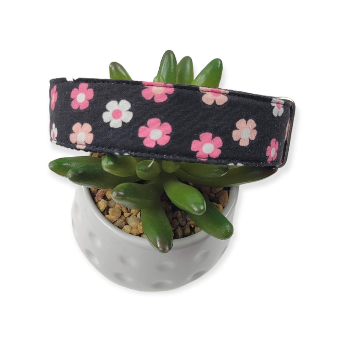 Ditsy Floral Black And Pink Dog Collar (Medium, 1" wide)