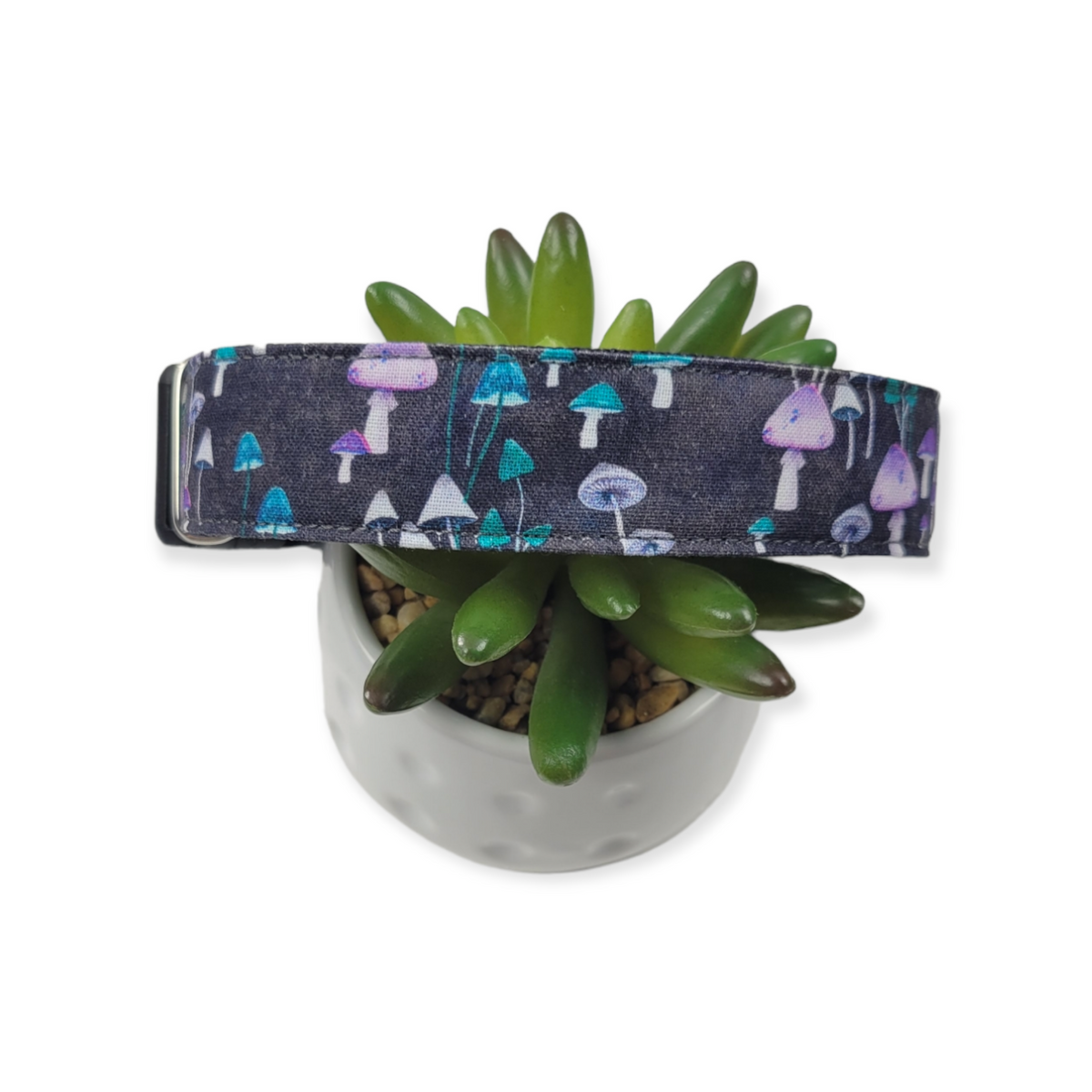 Teal & Purple Mushrooms Dog collar (Large)