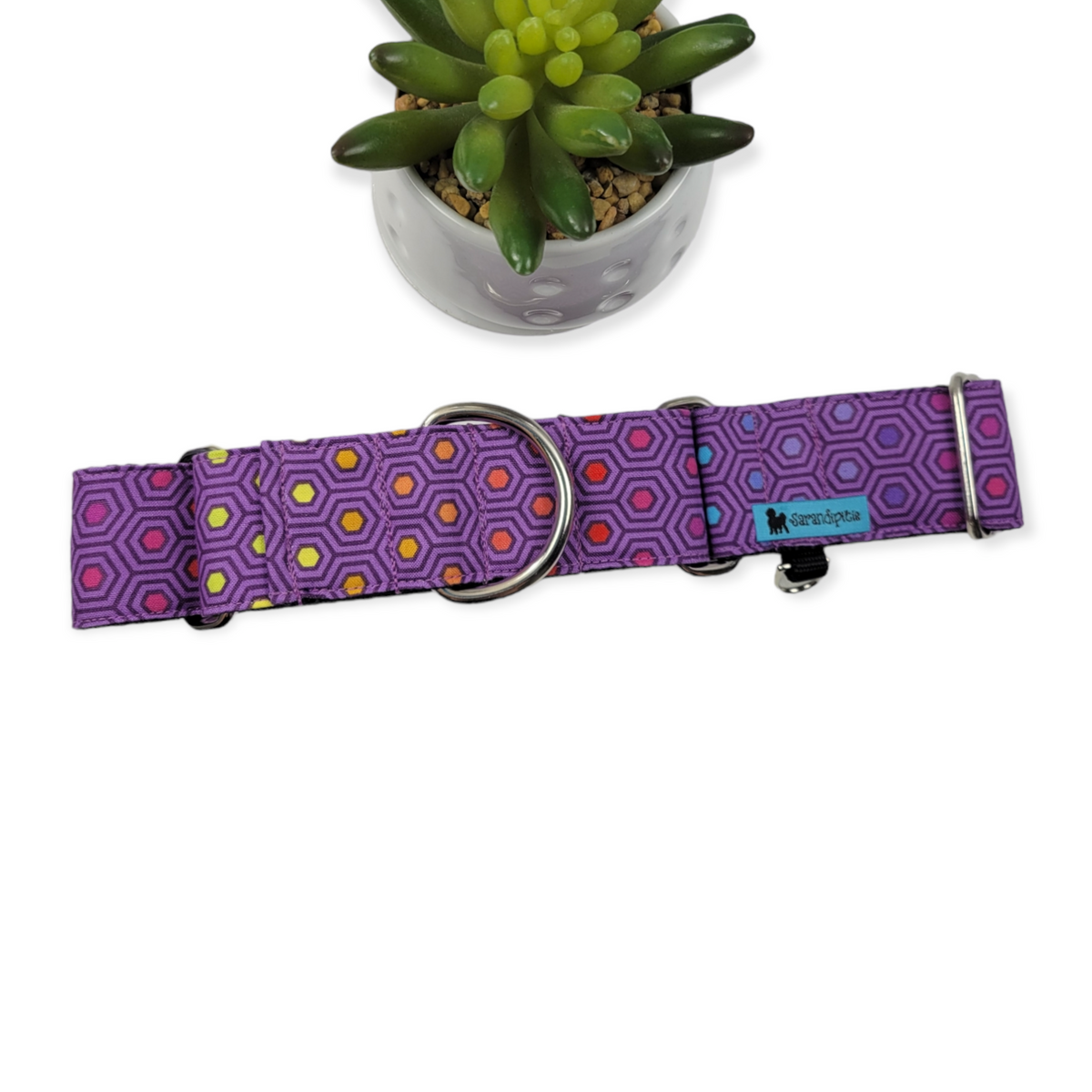 Hexy Rainbow - Starling Martingale Dog Collar (Large, 1.5" wide)