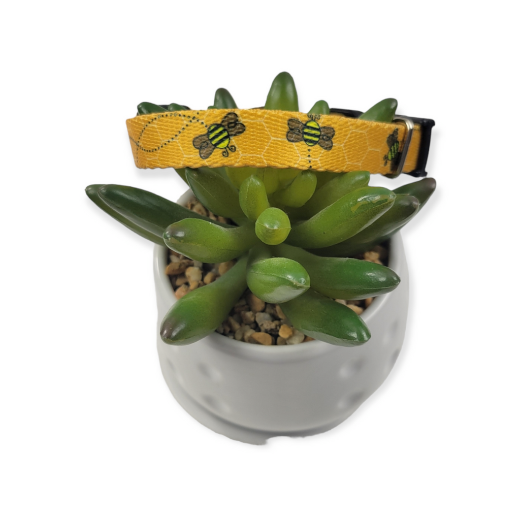 Busy Bee Dog Collar (XX-Small)
