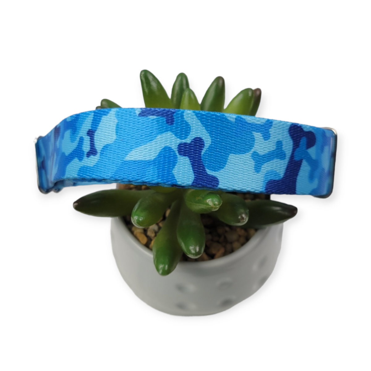 Blue Camo Bones Dog Collar (Large)