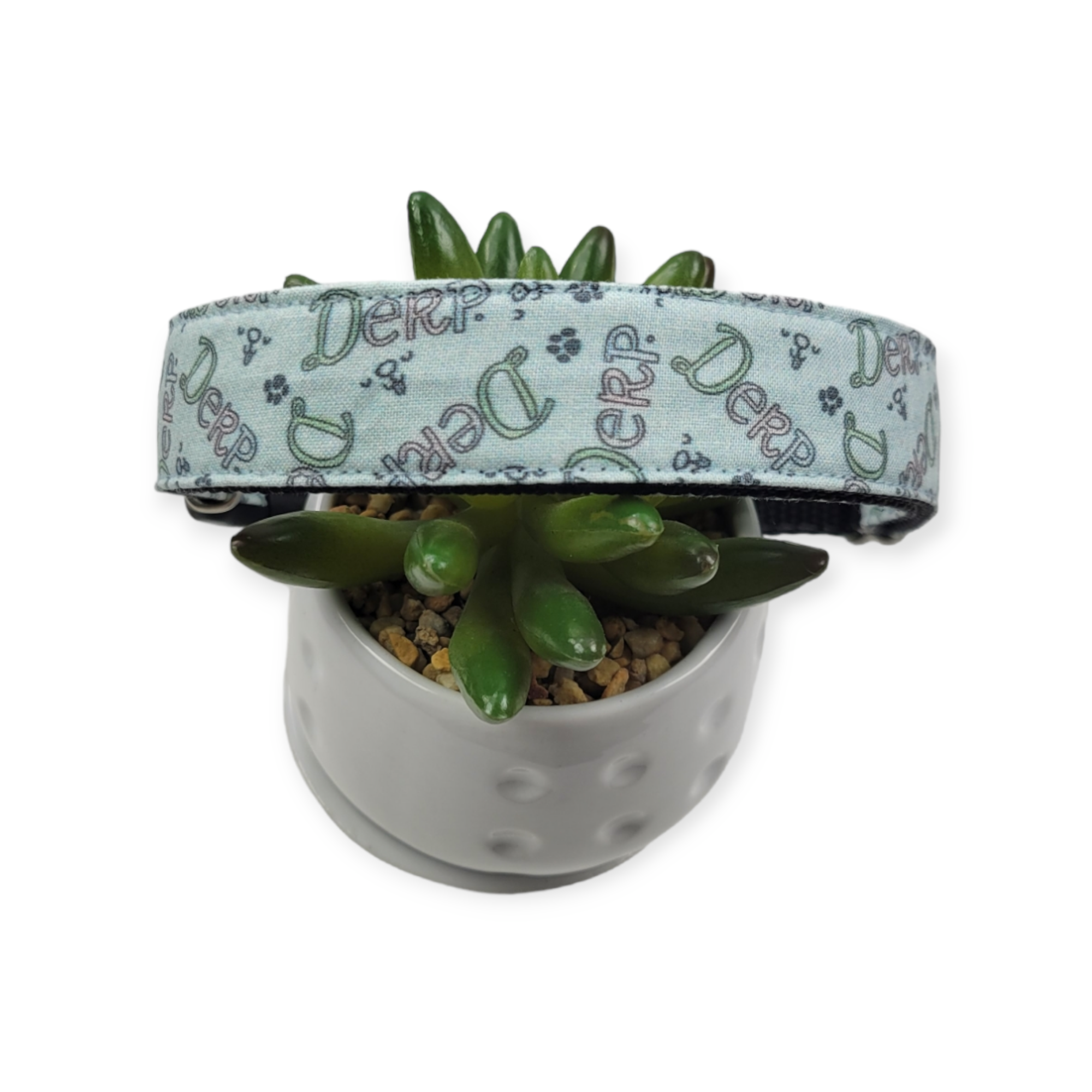 Derp Dog collar (Large)