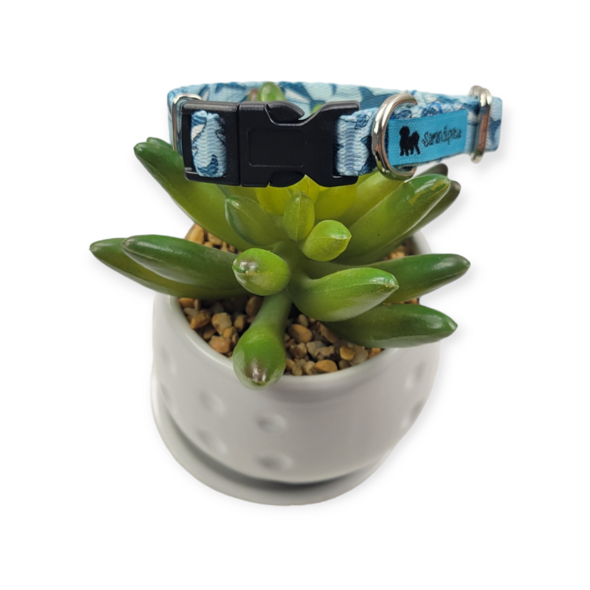 Sharks Dog Collar (X-Small)
