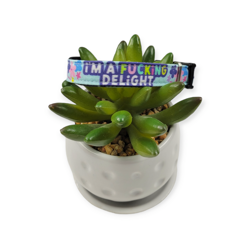 I'm a Delight Kitty Collar (XX-Small)