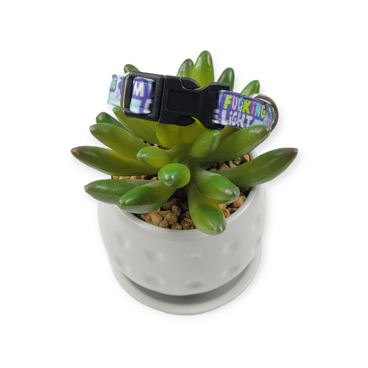 I'm a Delight Kitty Collar (XX-Small)