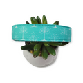 Tree of Gondor on Aqua Dog Collar (Large)