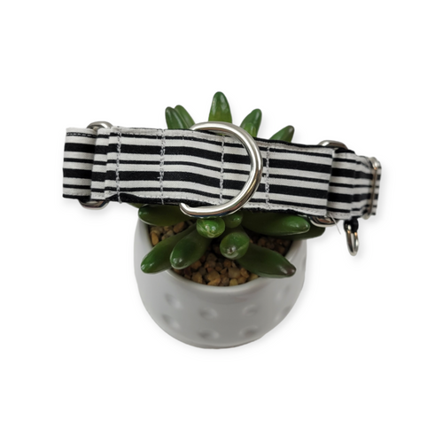 Black & White Stripes Martingale Dog Collar (Medium, 1" wide)