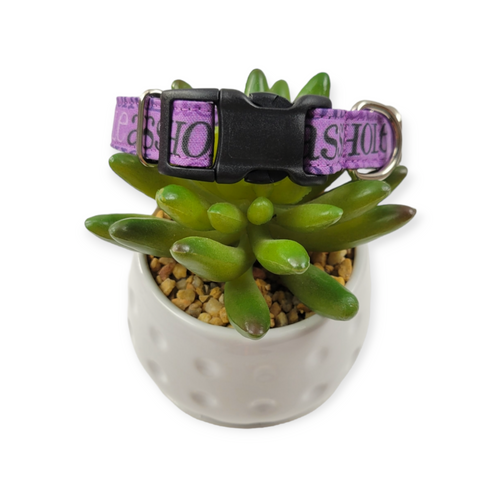 A$$hole on Purple Dog collar (Small)