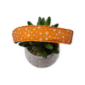 Orange Retro Martingale dog collar (Medium, 1" wide)