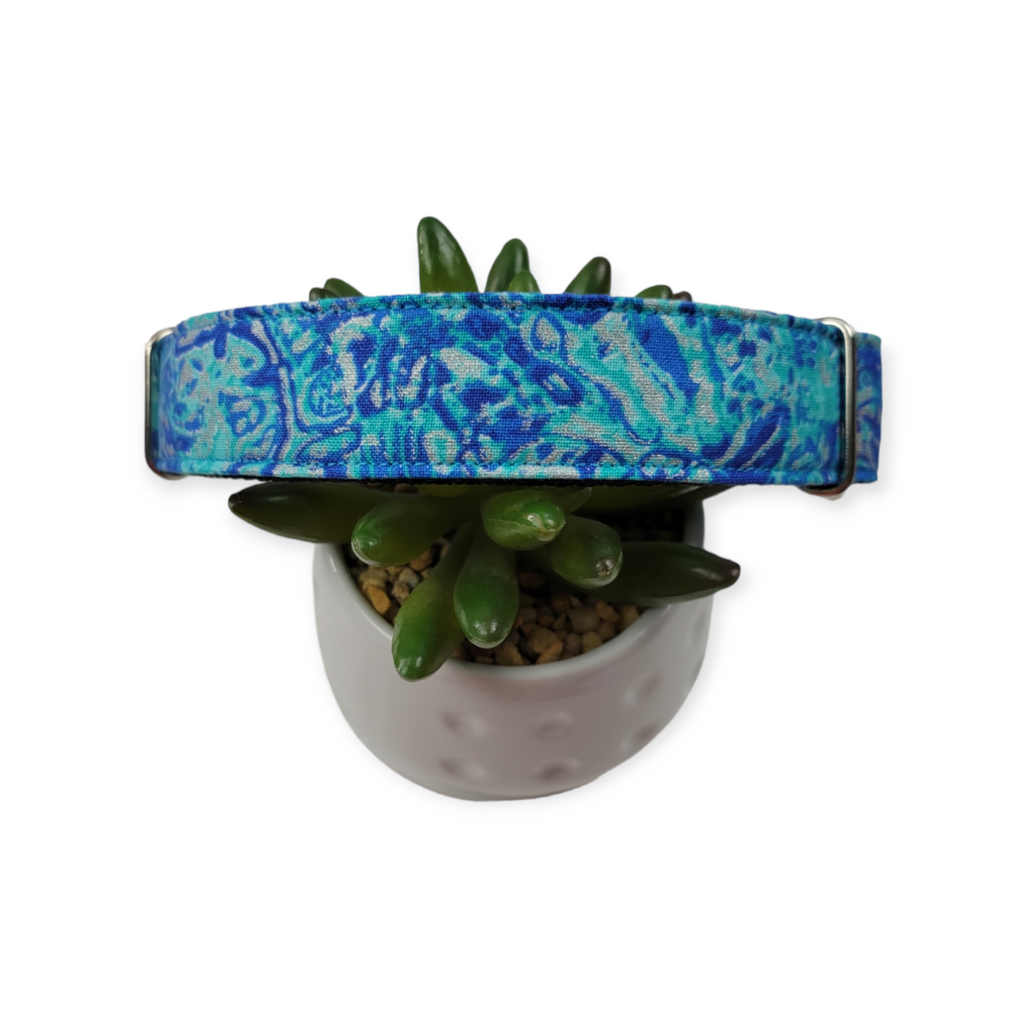Ocean Martingale dog collar (Medium, 1" wide)