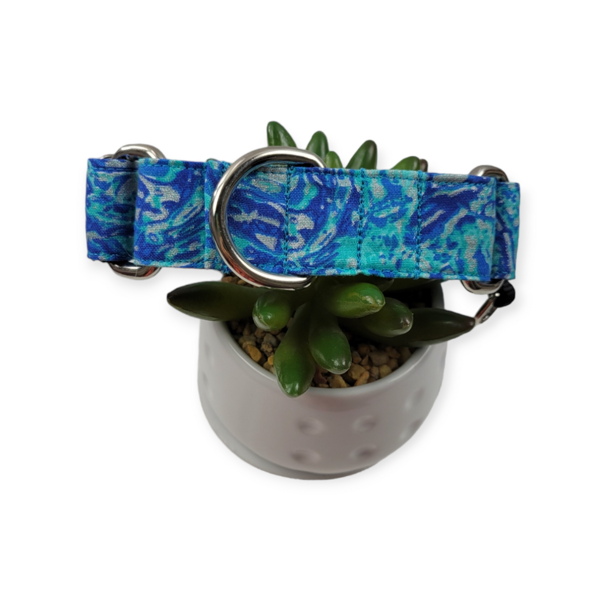 Ocean Martingale dog collar (Medium, 1" wide)