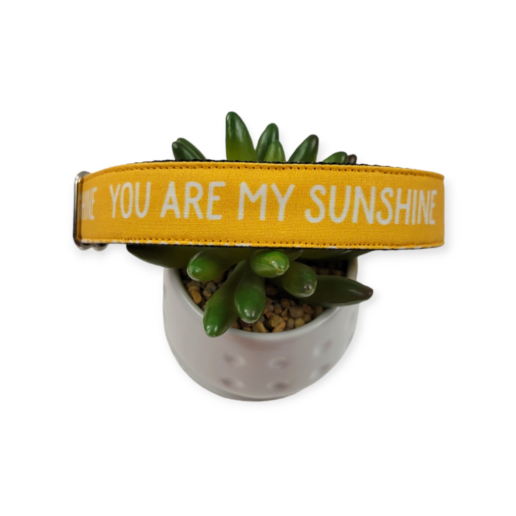 You Are My Sunshine Dog collar (Large)