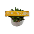 You Are My Sunshine Dog collar (Large)