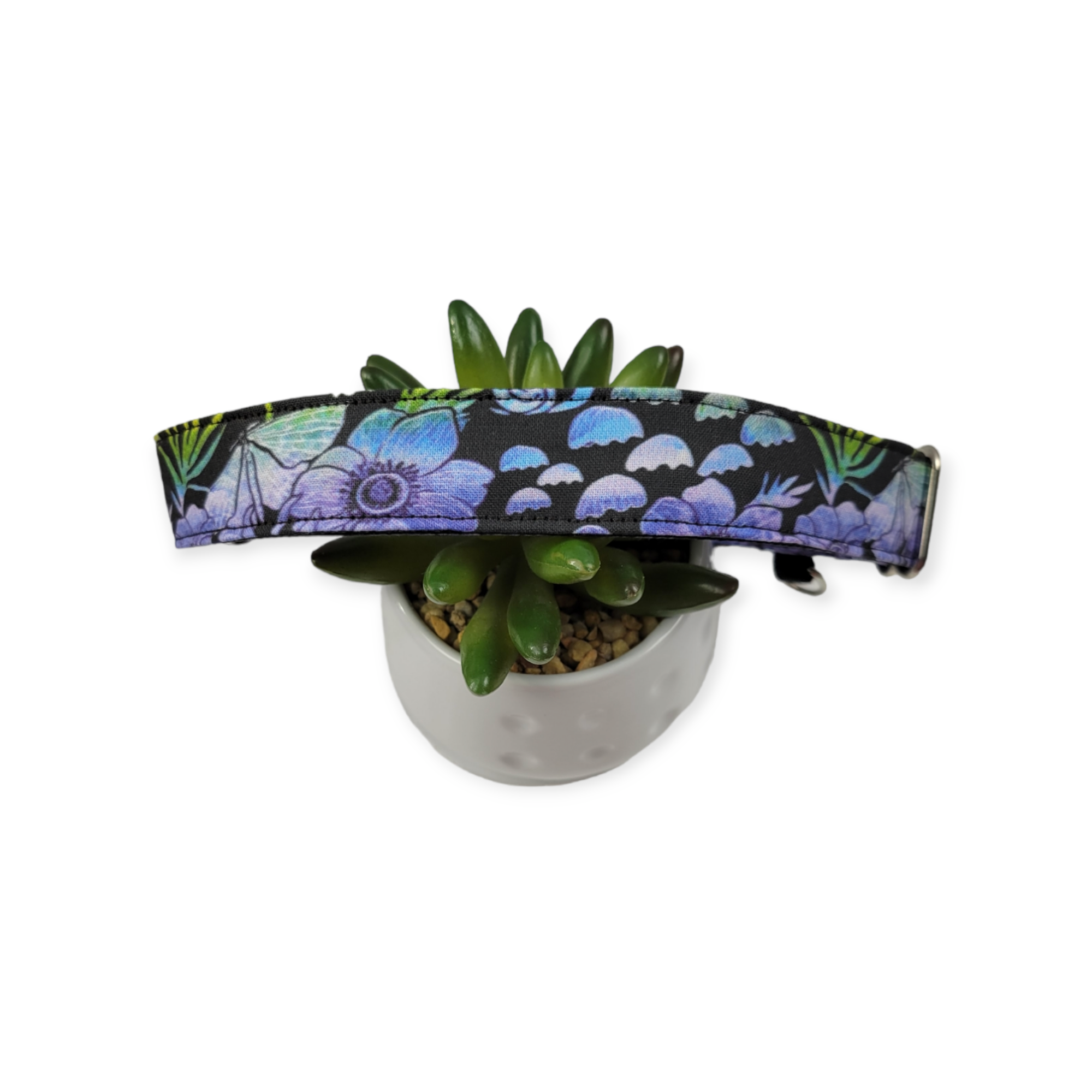 Rainbow Forest Floor Martingale Dog Collar (Large)