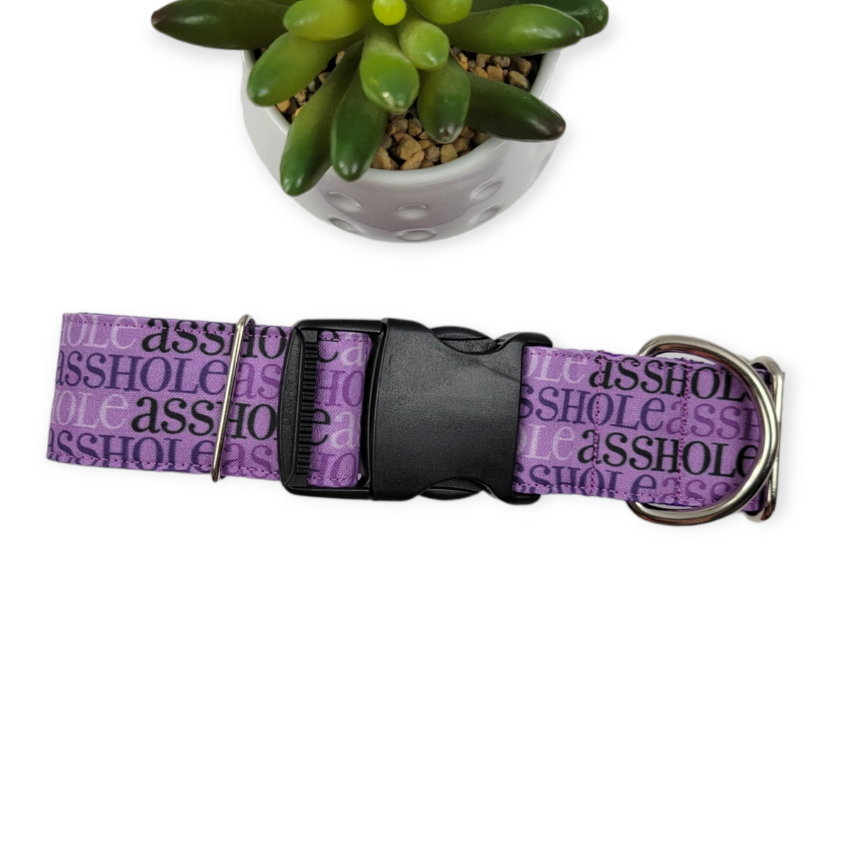 A$$hole on Purple Dog Collar (Large, 1.5" wide)