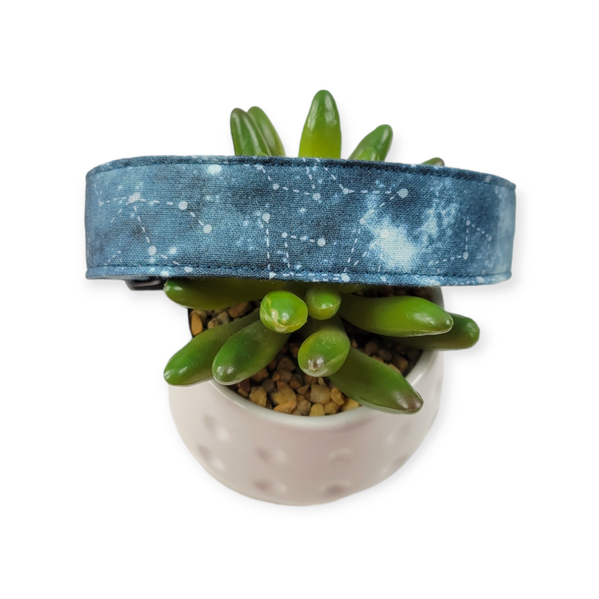 Constellations Dog Collar (Large)