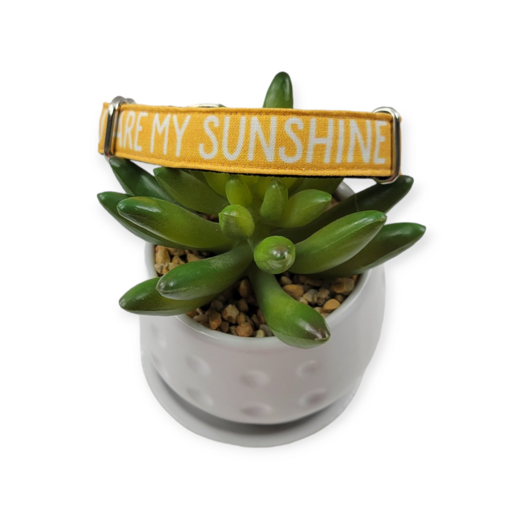 You Are My Sunshine Dog collar (Small)