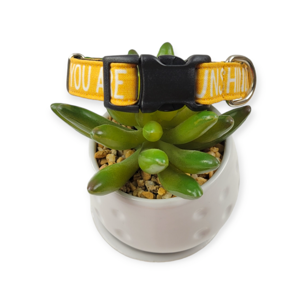 You Are My Sunshine Dog collar (Small)