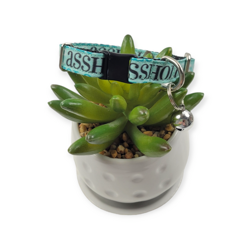 A$$hole on Aqua Kitty Collar (X-Small)