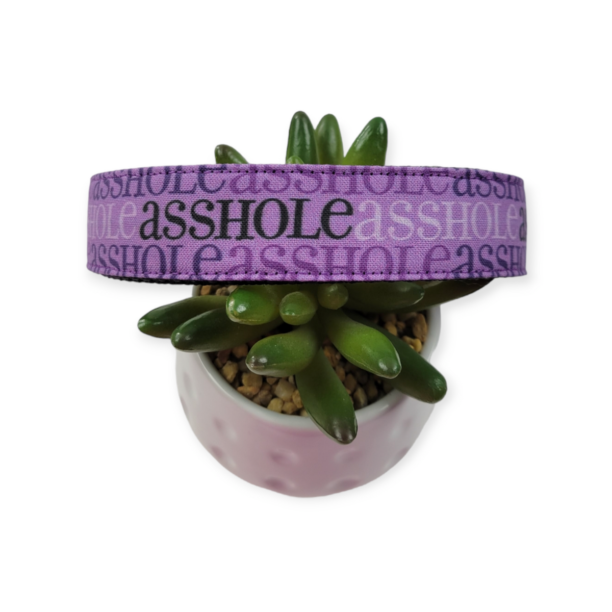 A$$hole on Purple Dog collar (Large)