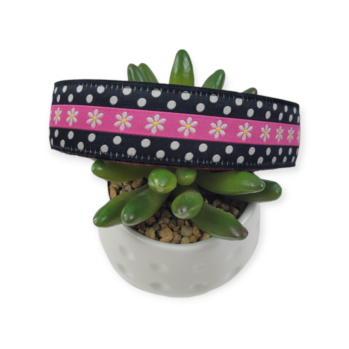 Dots & Daisies Dog collar (Large)