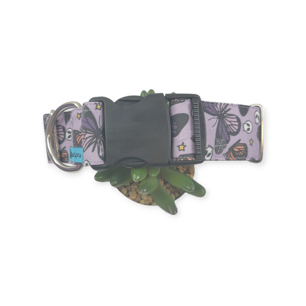 Halloween Butterflies Dog Collar (Large, 1.5" wide)