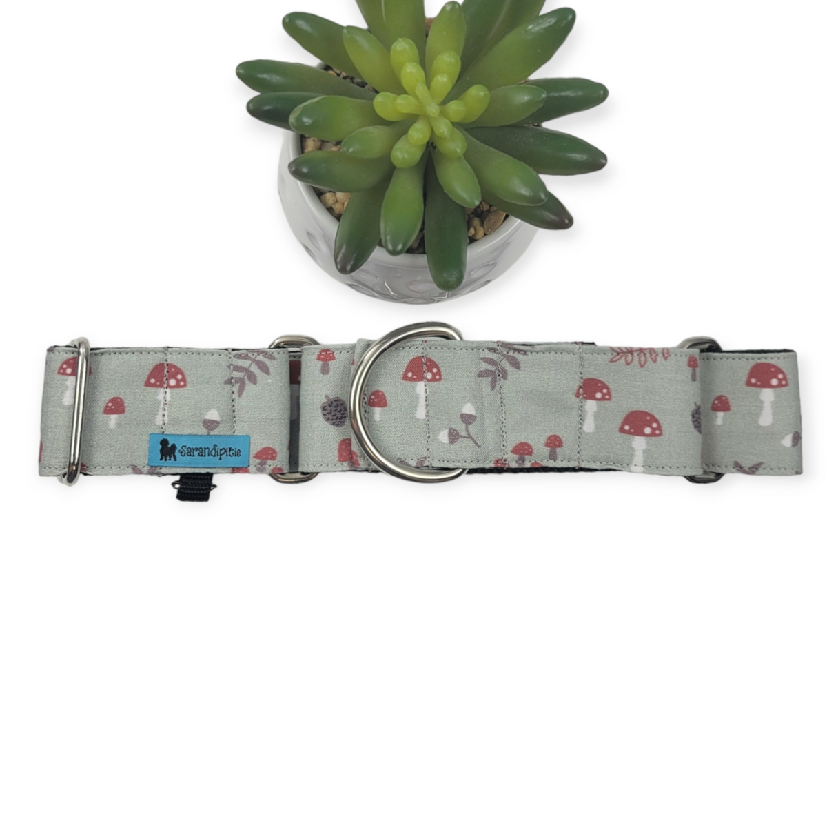 Autumn Mushrooms Martingale Dog Collar (Large, 1.5" wide)