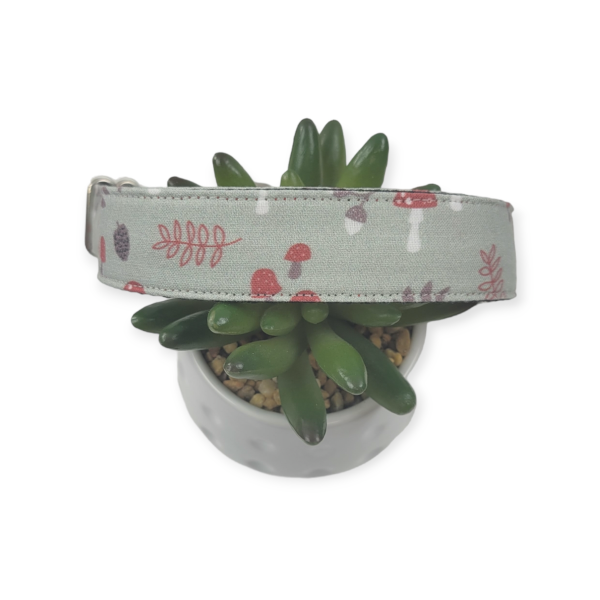 Autumn Mushrooms Martingale Dog Collar (Large)