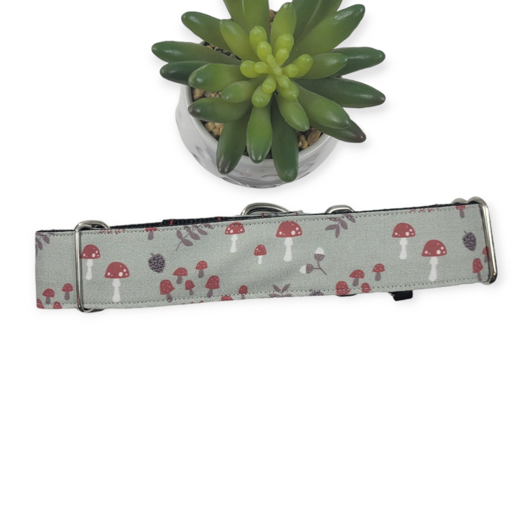Autumn Mushrooms Martingale Dog Collar (Large, 1.5" wide)