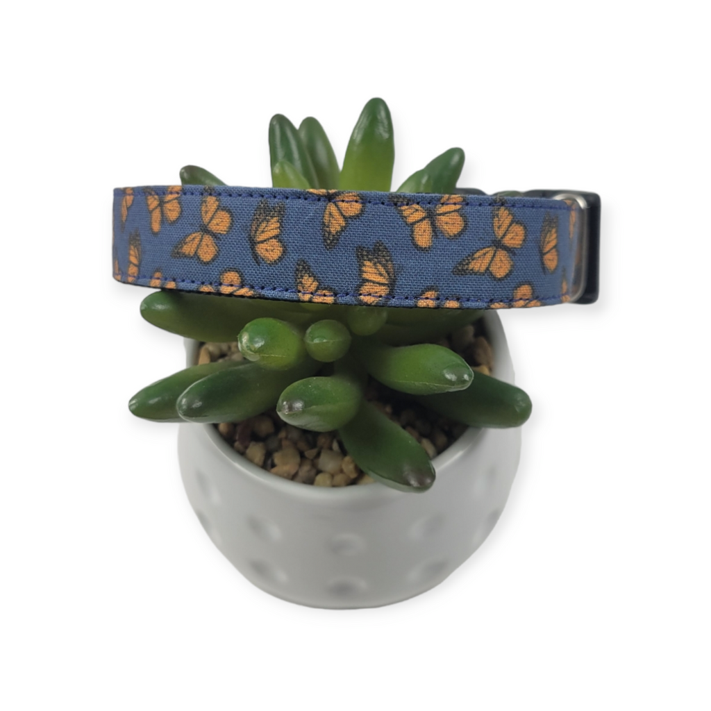 Monarchs on Navy Dog Collar (Medium)