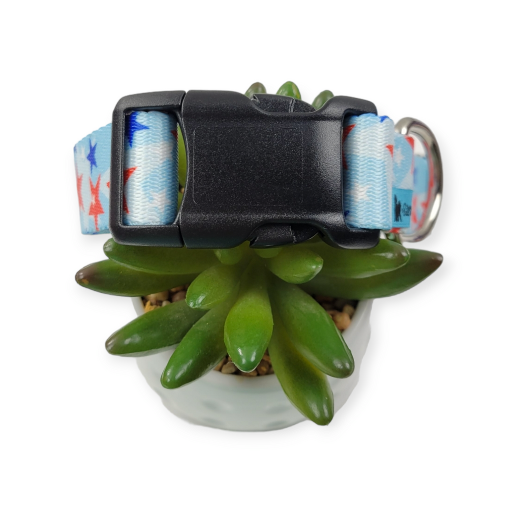 American Celebration Dog Collar (Medium, 1" wide)