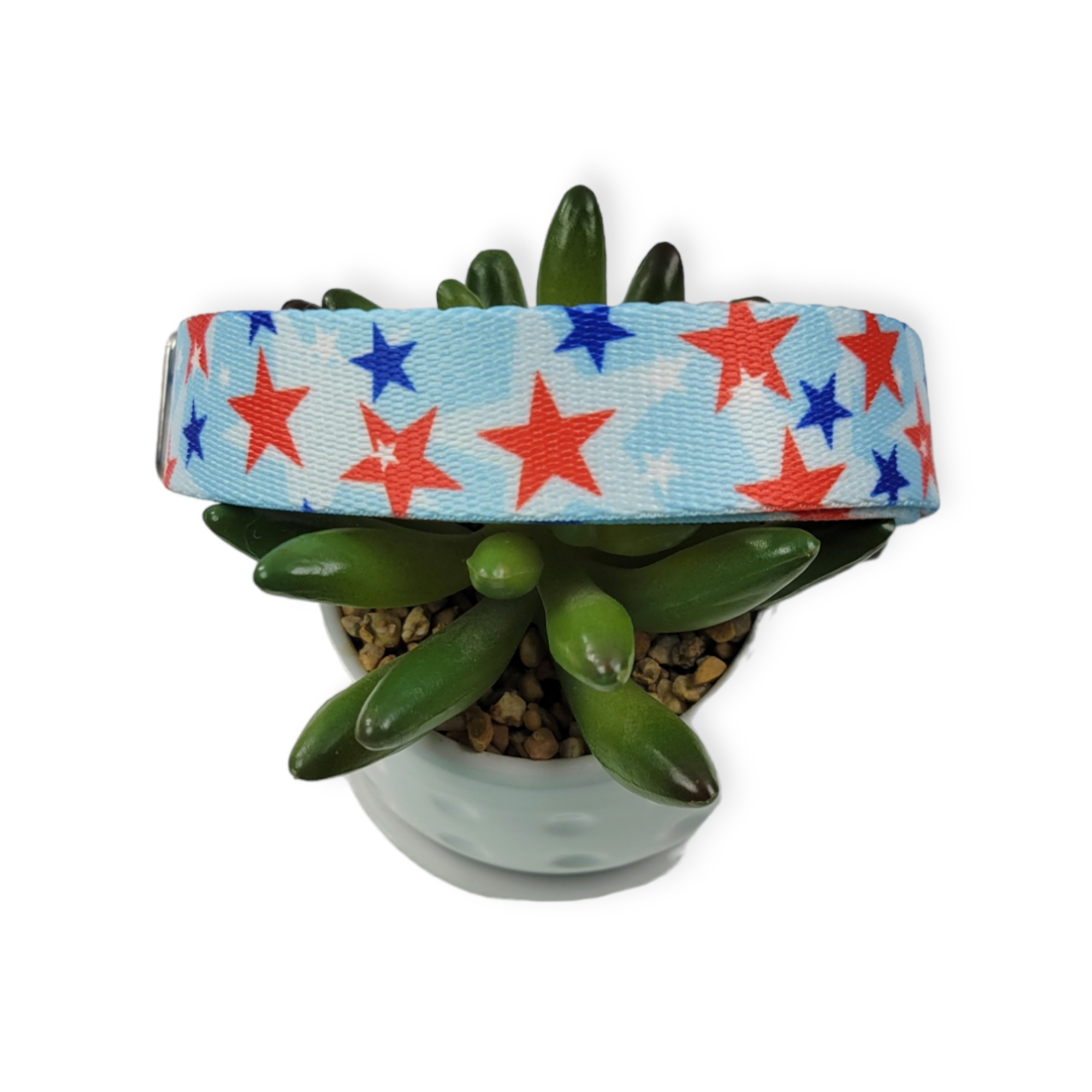 American Celebration Dog Collar (Large)