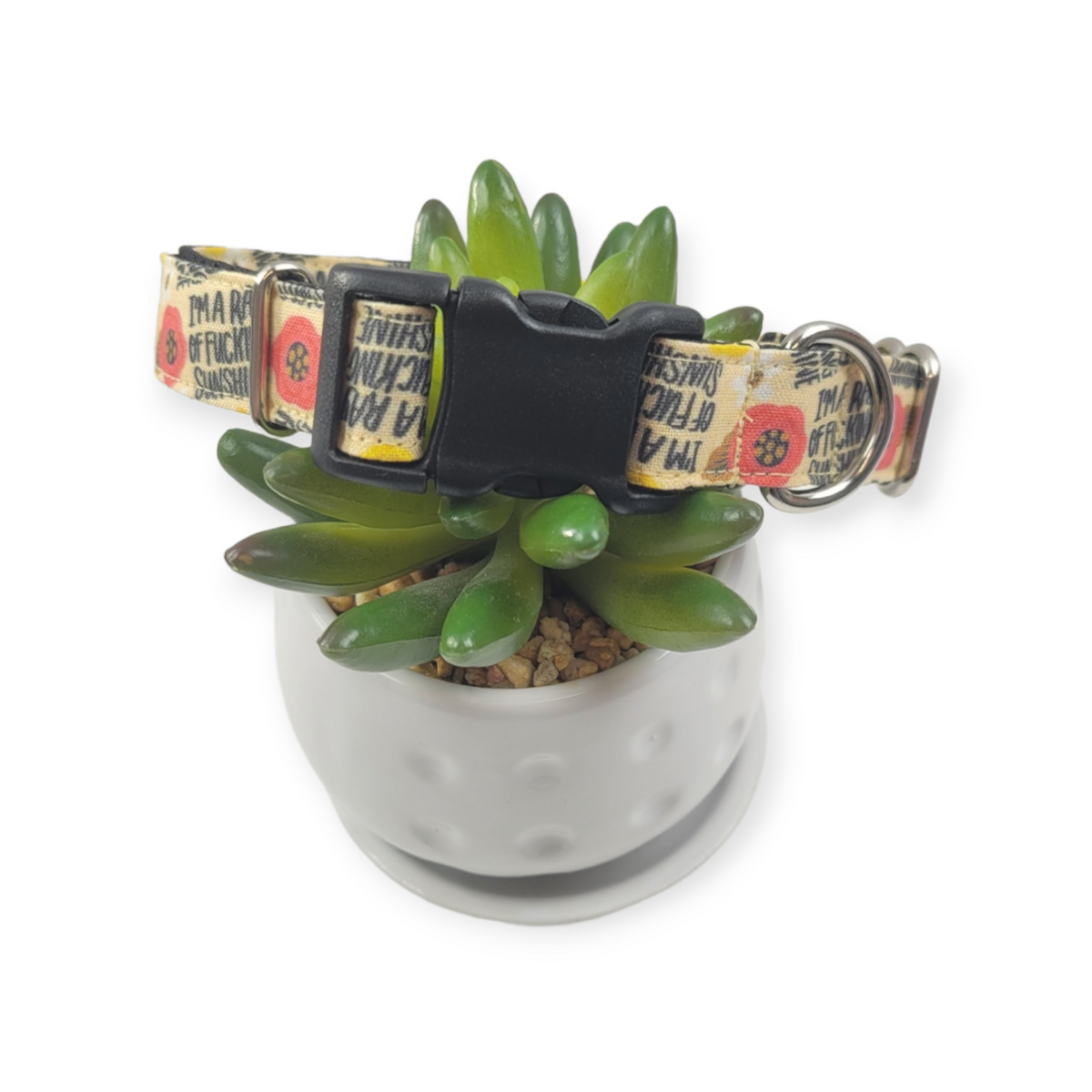 I'm a Ray of Sunshine Dog Collar (Medium)