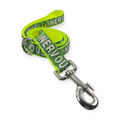 Nervous on Neon Yellow Leash (4')